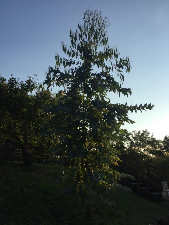 Au Son De L Angelus Bed & Breakfast Moncrabeau Bagian luar foto