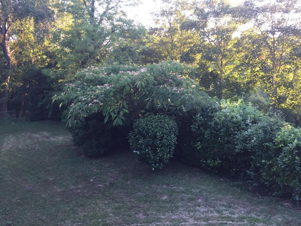 Au Son De L Angelus Bed & Breakfast Moncrabeau Bagian luar foto